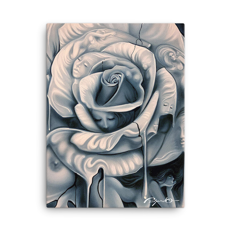 White Rose Canvas Print (18x24)