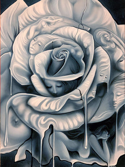 White Rose Limited Edition Print